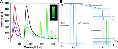 The Development and Progression of Micro-Nano Optics